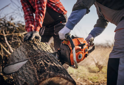 curso motosierra homologado